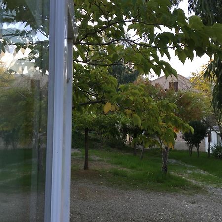 Camping Les Orangers San-Martino-di-Lota Δωμάτιο φωτογραφία
