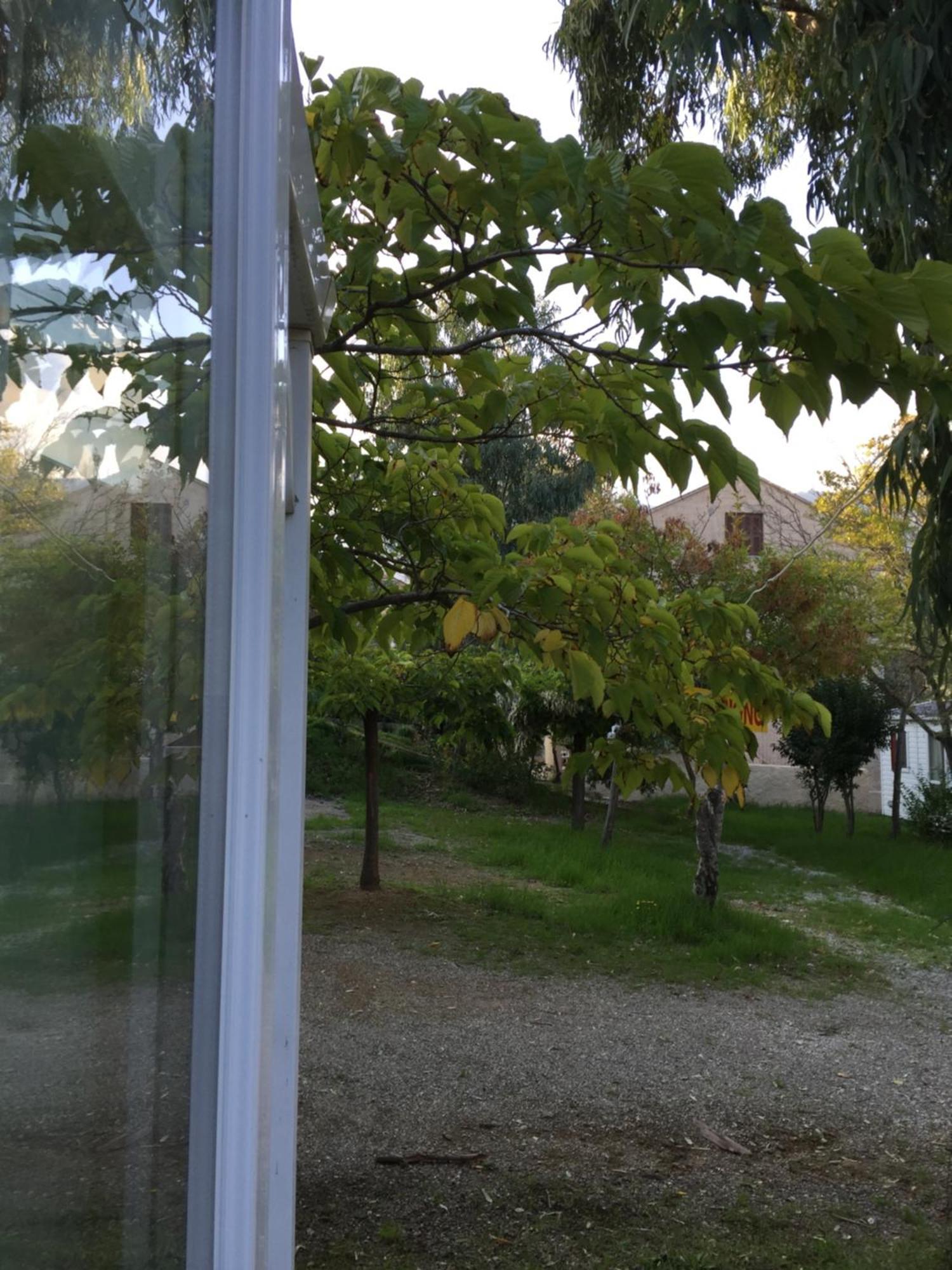 Camping Les Orangers San-Martino-di-Lota Δωμάτιο φωτογραφία