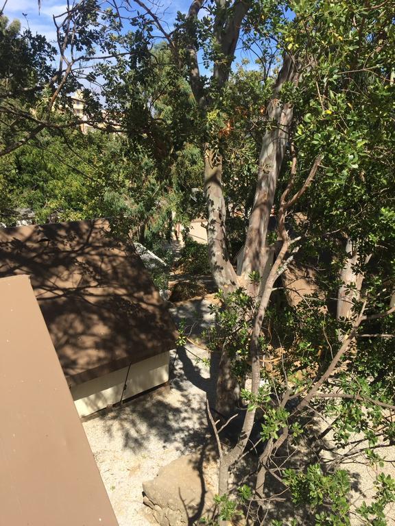 Camping Les Orangers San-Martino-di-Lota Εξωτερικό φωτογραφία