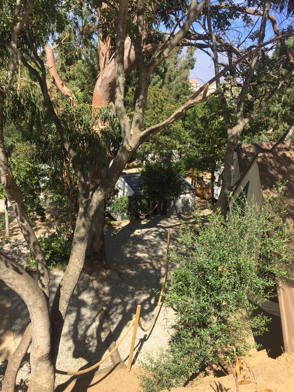 Camping Les Orangers San-Martino-di-Lota Εξωτερικό φωτογραφία