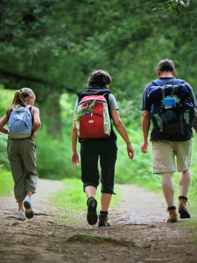 Camping Les Orangers San-Martino-di-Lota Εξωτερικό φωτογραφία