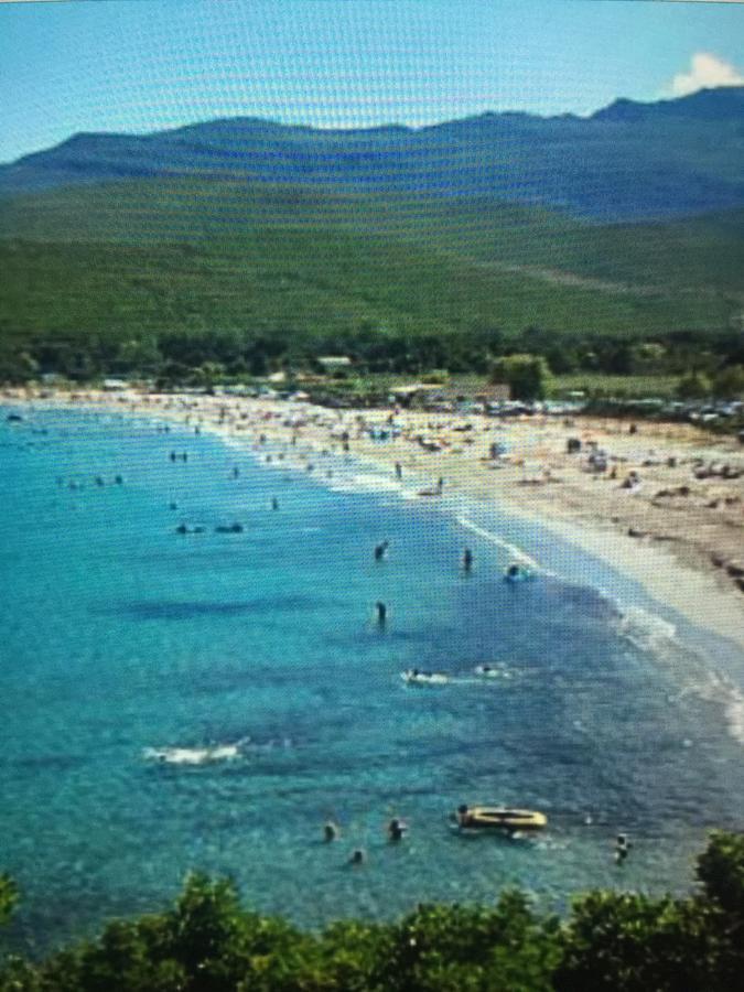 Camping Les Orangers San-Martino-di-Lota Εξωτερικό φωτογραφία