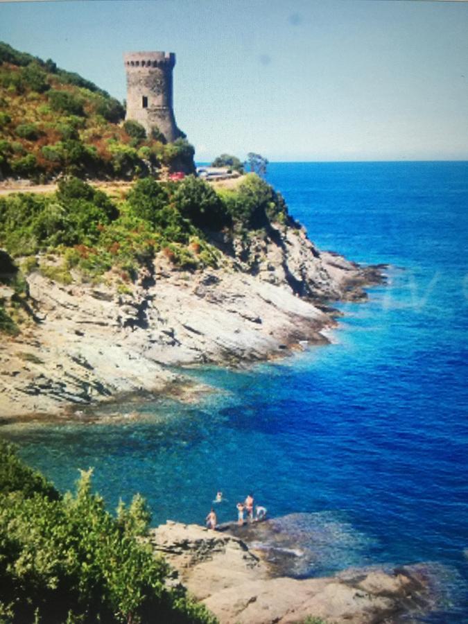Camping Les Orangers San-Martino-di-Lota Εξωτερικό φωτογραφία